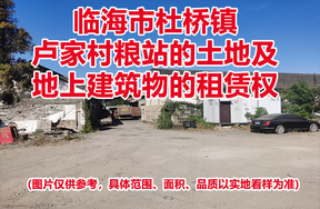 临海市杜桥镇卢家村粮站的土地及地上建筑物的租赁权